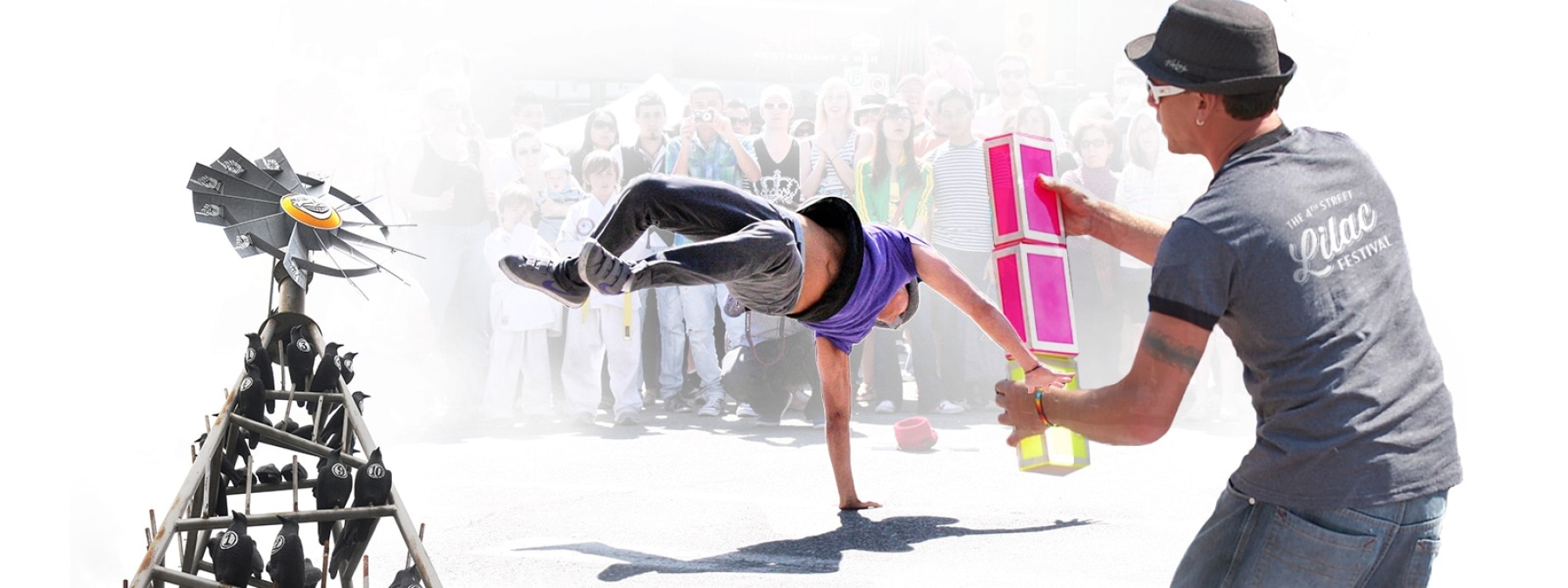 Lilac_banner-0002.jpg