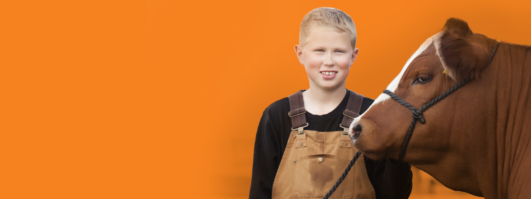 CountryJunctionFeeds-banner.jpg